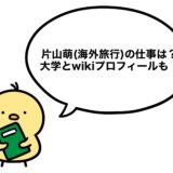 片山萌(海外旅行)の仕事は？大学とwikiプロフィールも！
